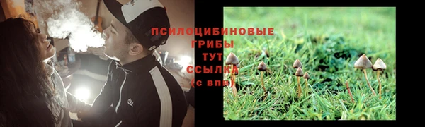 синтетический гашиш Верхний Тагил