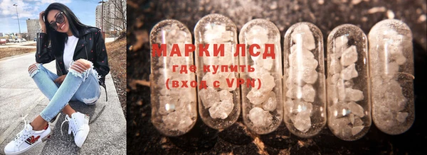гидра Болотное