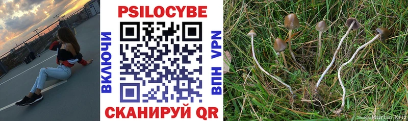 Псилоцибиновые грибы прущие грибы  купить   Велиж 